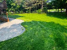Lawn Aerating, Dethatching, Fertilzer, Overseeding, Top Dressing - Photo 2