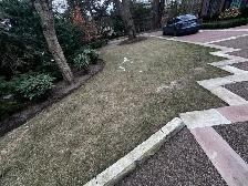 Lawn Aerating, Dethatching, Fertilzer, Overseeding, Top Dressing - Photo 6