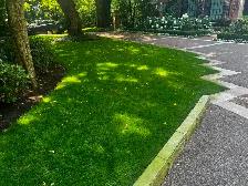 Lawn Aerating, Dethatching, Fertilzer, Overseeding, Top Dressing - Photo 7