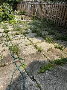 Lawn Aerating, Dethatching, Fertilzer, Overseeding, Top Dressing - Photo 8