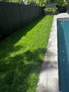 Lawn Aerating, Dethatching, Fertilzer, Overseeding, Top Dressing - Photo 9