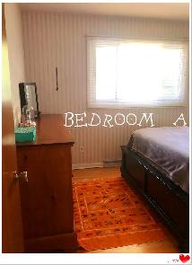 3BR Home w/ Fin. Bsmt | Near Brock | $2,500   Utils - Photo 3
