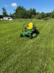 lawn care/ maintenance - Photo 2