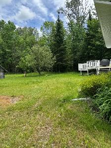 lawn care/ maintenance - Photo 4