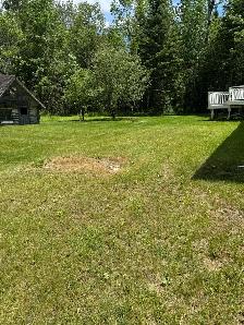 lawn care/ maintenance - Photo 5