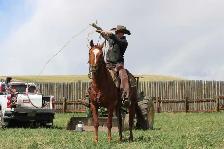 broke broke mare for sale - Photo 5