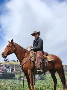 broke broke mare for sale - Photo 6