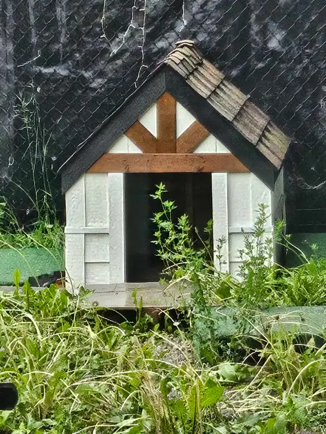 Nice custom build DOG HOUSE