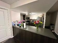 Condo Room for Rent Near UofT - Photo 3
