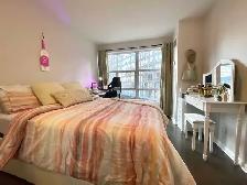Condo Room for Rent Near UofT - Photo 4
