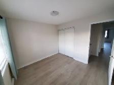 Brampton 4 Bedroom House for Rent in Mount Pleasant North - Photo 18
