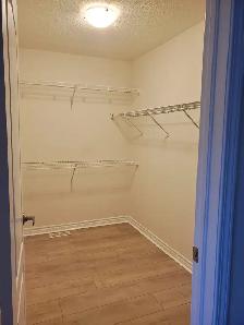 Brampton 4 Bedroom House for Rent in Mount Pleasant North - Photo 22