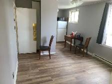 BEAUTIFUL QUAINT 1 BEDROOM APARTMEN IN QUIET BUILDING - Photo 4