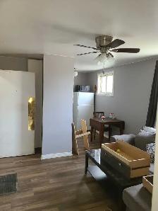 BEAUTIFUL QUAINT 1 BEDROOM APARTMEN IN QUIET BUILDING - Photo 8