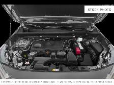 2024 Toyota RAV4 - Photo 6