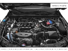 2024 Honda Civic Hatchback - Photo 6