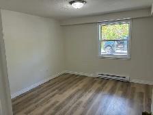 Ground level apartment. Centreville - Photo 5