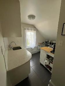 Glebe  1-Bedroom Apartment– Available August 1 - Photo 5