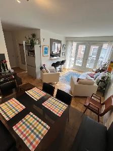 Renovated 3 1/2 NDG area - Photo 4