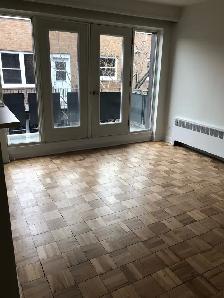 Renovated 3 1/2 NDG area - Photo 6