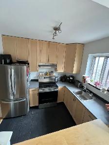 Renovated 3 1/2 NDG area - Photo 7