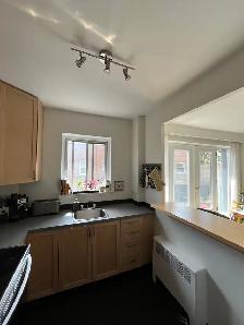 Renovated 3 1/2 NDG area - Photo 8