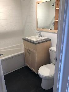 Renovated 3 1/2 NDG area - Photo 9