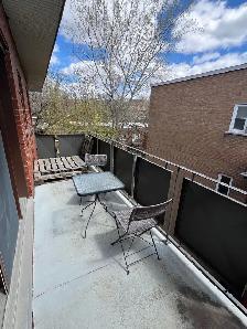 Renovated 3 1/2 NDG area - Photo 11
