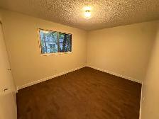 3 bedroom, 1 bath duplex - Photo 3