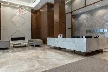 Furnished 2 bedroom Luxury Condo - The Pavilion - Photo 3