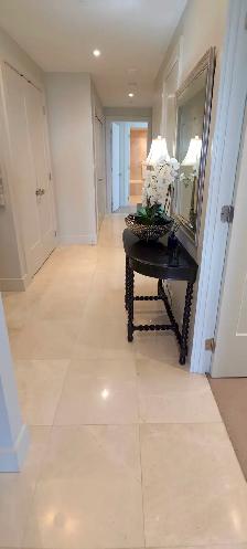 Furnished 2 bedroom Luxury Condo - The Pavilion - Photo 4