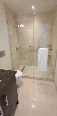 Furnished 2 bedroom Luxury Condo - The Pavilion - Photo 21