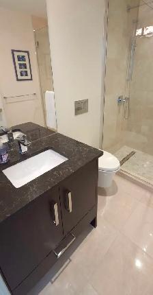 Furnished 2 bedroom Luxury Condo - The Pavilion - Photo 22