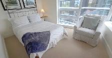 Furnished 2 bedroom Luxury Condo - The Pavilion - Photo 28