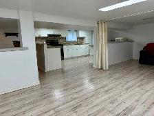 1 Bed, 1 Bath Studio Fully Furnished Basement Windsor ON - Photo 6