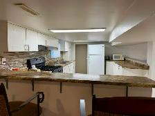 1 Bed, 1 Bath Studio Fully Furnished Basement Windsor ON - Photo 7