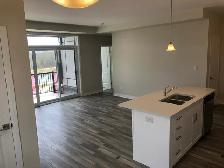 155 Thomas Slee Dr Unit 3C. $2,150   Util available Aug 1st - Photo 4