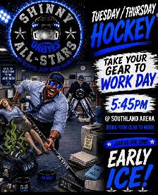 shinny hockey