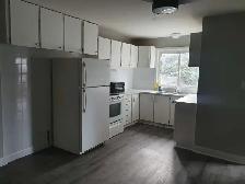 3 Bedroom Bungalow   Extra Room, All-Inclusive. - Photo 2