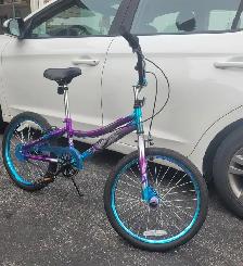Girls 20 inch Bike for sale