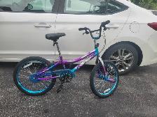 Girls 20 inch Bike for sale - Photo 2