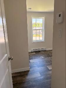 25 Primrose Street, Saint John New Brunswick - Photo 11