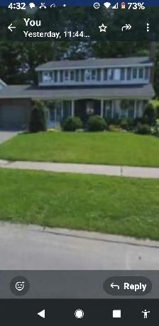 I will do yardwork 4 Cash