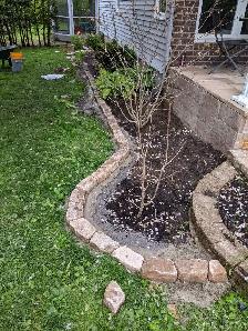 I will do yardwork 4 Cash - Photo 6