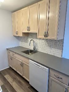 1 Bedroom Apartment for rent - Photo 3
