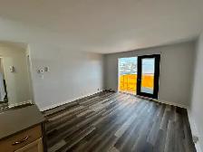 1 Bedroom Apartment for rent - Photo 5