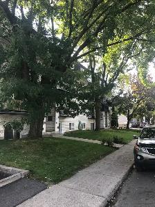 4 ½ Longueuil  –Grand logement béton insonoriser (Libre) 2280-1 - Photo 6