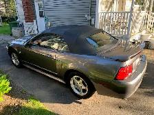2004 Ford Mustang Convertible - Photo 2