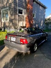2004 Ford Mustang Convertible - Photo 4