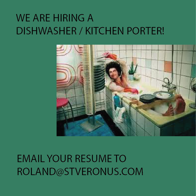 Dishwasher / Kitchen Porter
